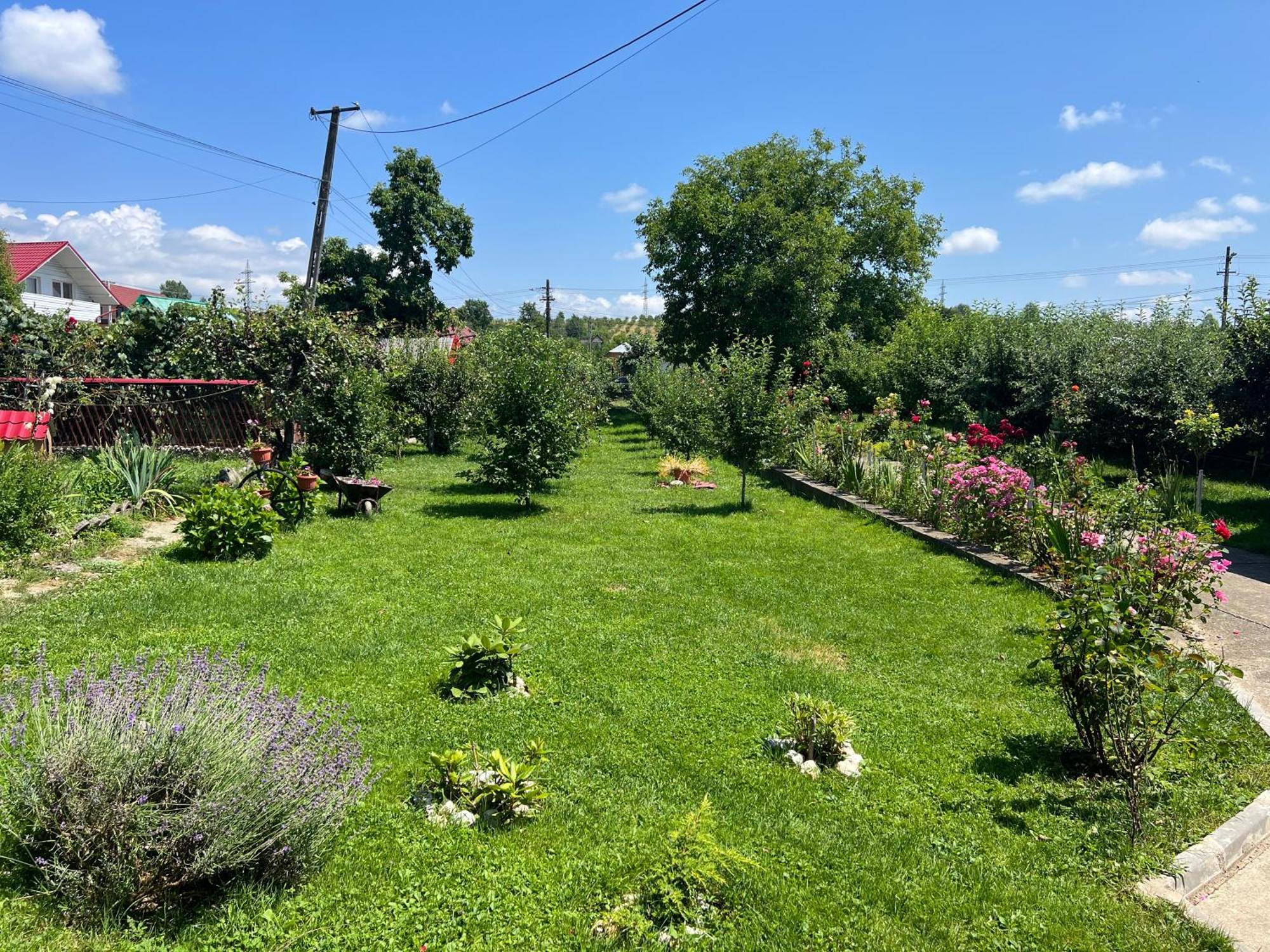 Accommodation Casa Luca Хорезу Екстер'єр фото
